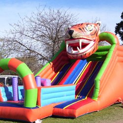 TOBOGÁN GIGANTE TIGRE